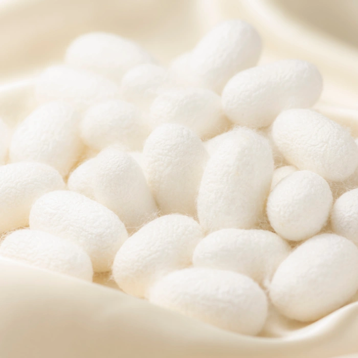 1400 korteles (1).webp